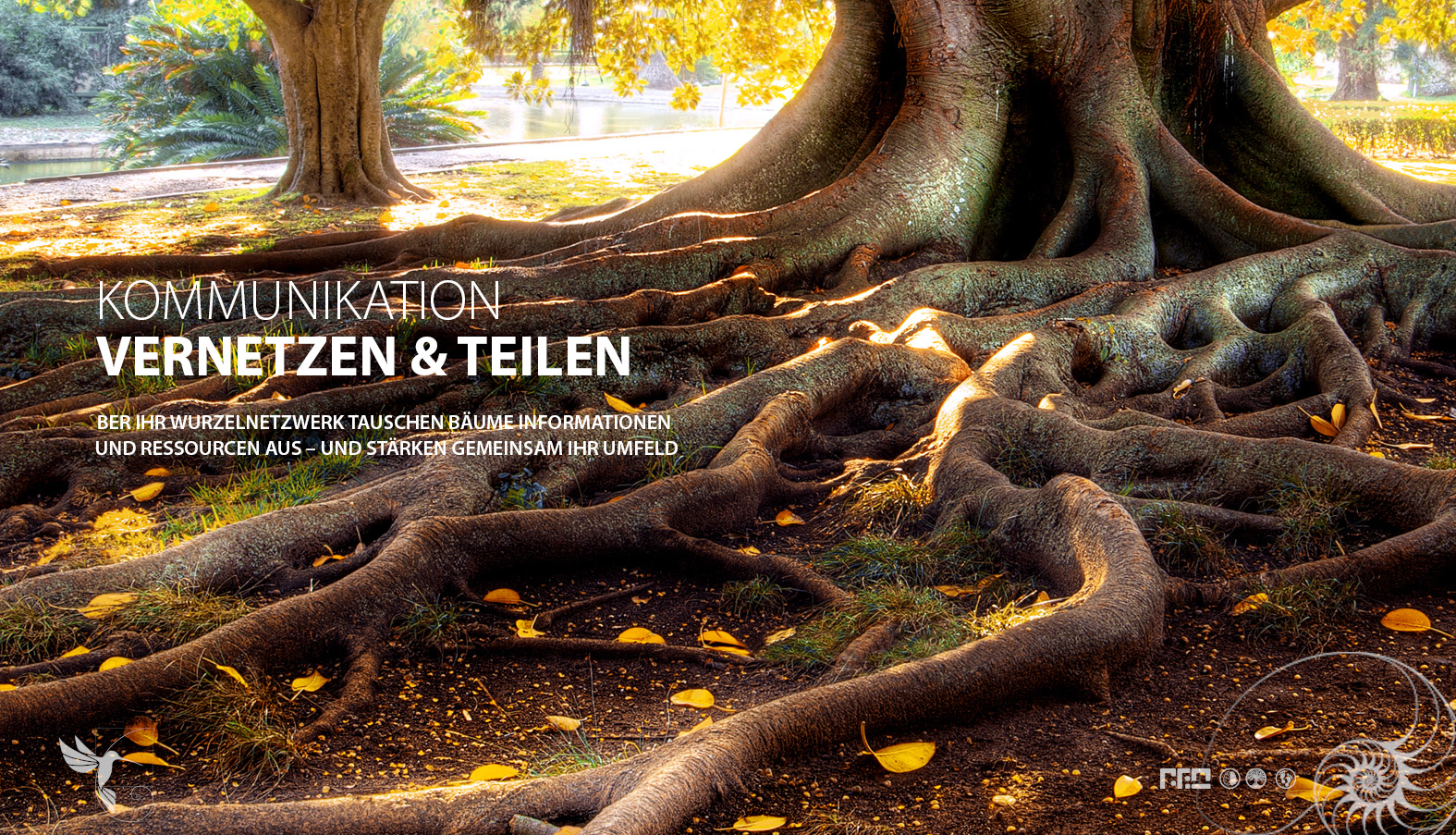blue 03 kontakt baum de