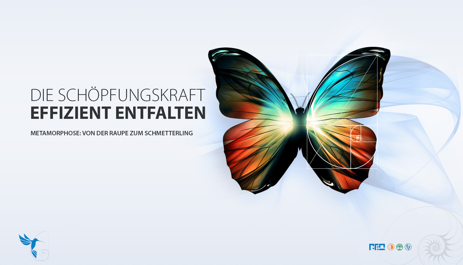 blue 06 schmetterling de