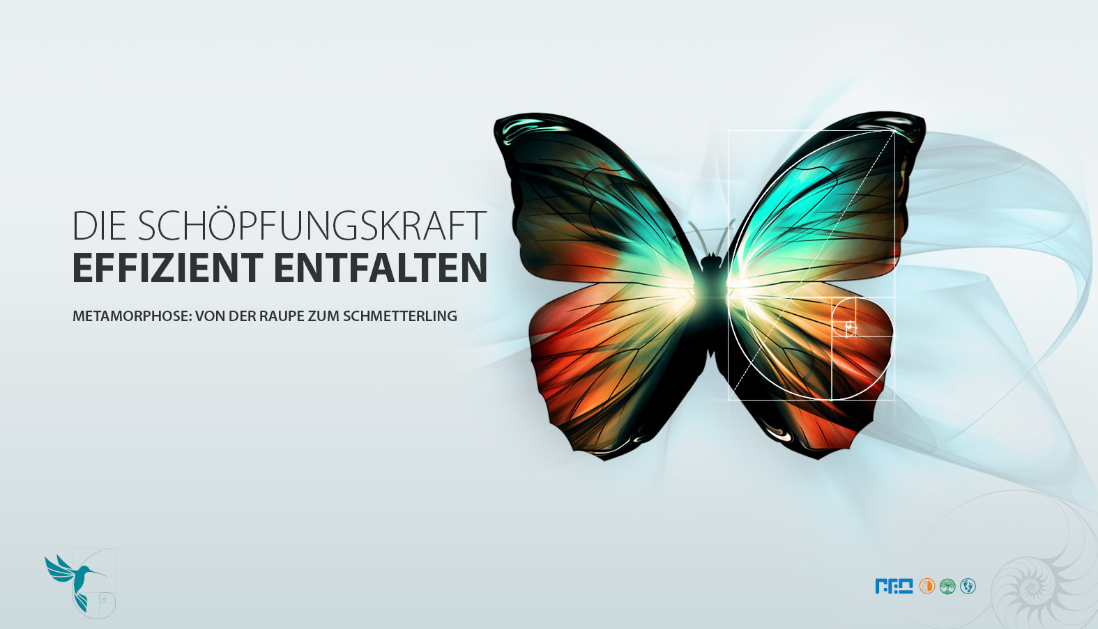 turqouise 02 schmetterling de