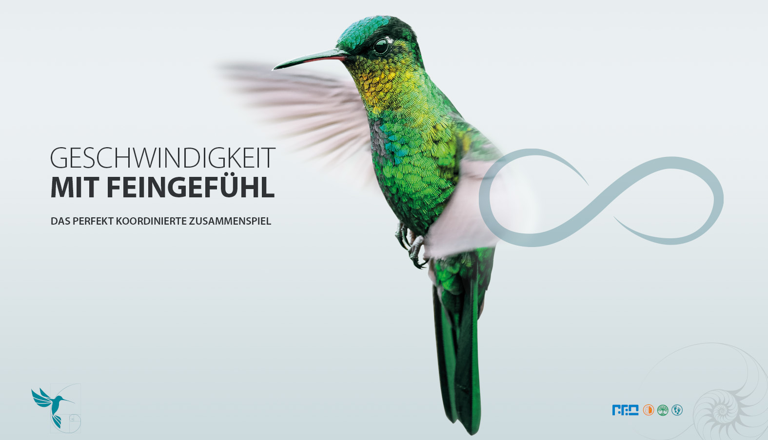 turqouise 03 kolibri de